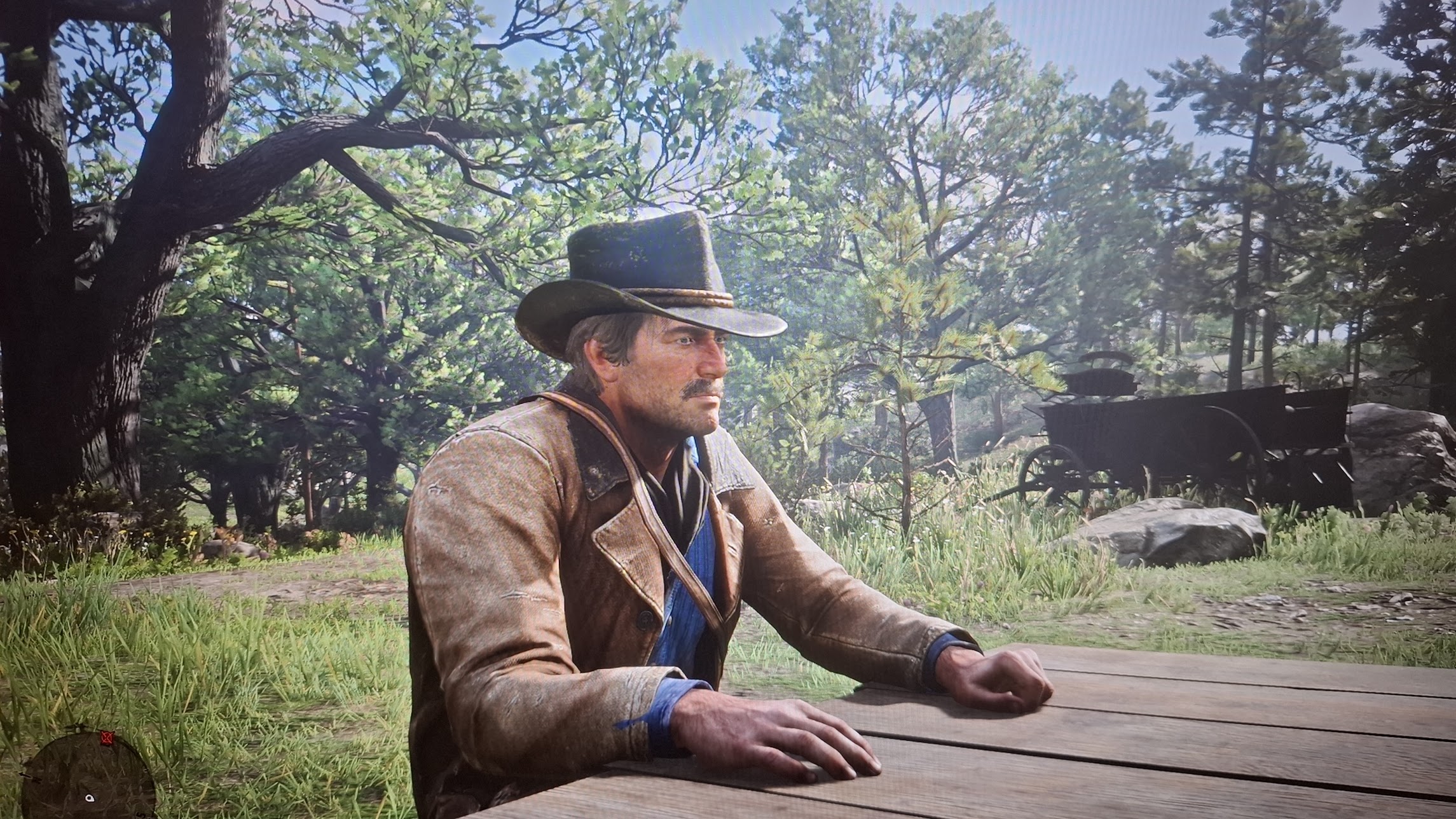 RDR2